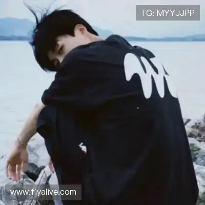 何鹰辉